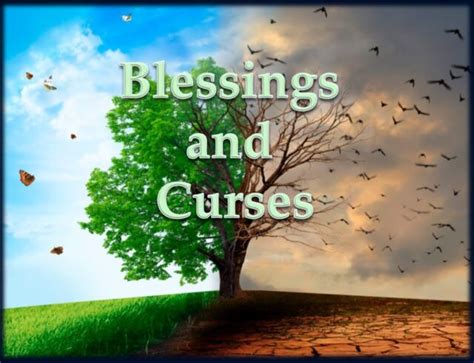 traduction blessing|blessing vs blessings.